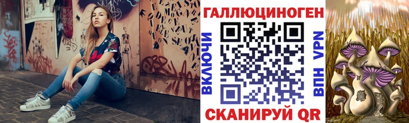 ссылка на мегу онион  Орёл  Псилоцибиновые грибы MAGIC MUSHROOMS 